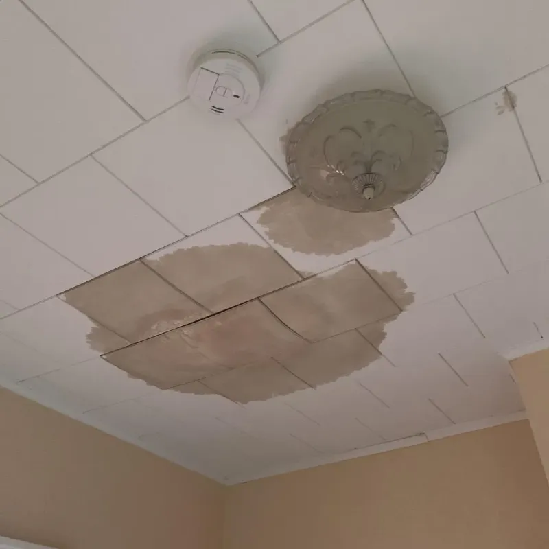 Ceiling Water Damage Repair in Lake County, SD