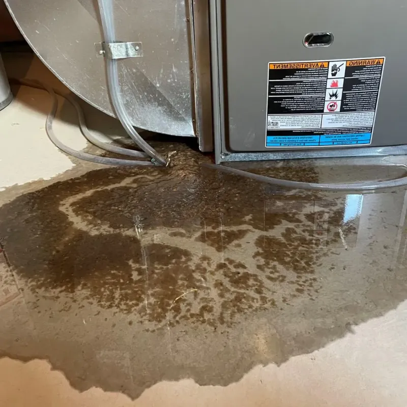 Pipe Burst and Leak Restoration in Lake County, SD