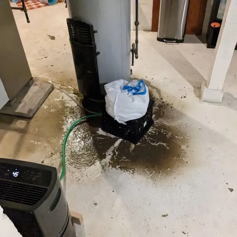 Sewage Backup Cleanup Service in Lake County, SD